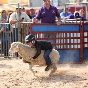 Meet your Posher, Kevin